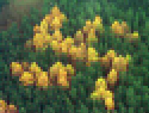 Click image for larger version

Name:	trees.jpg
Views:	124
Size:	30.3 KB
ID:	8940360