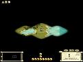Click image for larger version

Name:	ducki_emp_spanish4000bc.jpg
Views:	864
Size:	33.2 KB
ID:	8945029