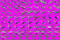 Click image for larger version

Name:	wipunitsgp.gif
Views:	401
Size:	50.7 KB
ID:	8945087