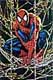 Click image for larger version

Name:	spider-man.jpg
Views:	167
Size:	3.2 KB
ID:	8945207