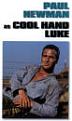 Click image for larger version

Name:	cool hand luke.jpg
Views:	107
Size:	3.7 KB
ID:	8945764
