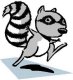 Click image for larger version

Name:	raccoon6.jpg
Views:	167
Size:	3.3 KB
ID:	8945960