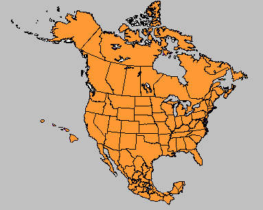 Click image for larger version

Name:	northamericnes01.gif
Views:	128
Size:	6.4 KB
ID:	8947120