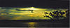 Click image for larger version

Name:	tidal basin sunsetsmal.jpg
Views:	341
Size:	281.9 KB
ID:	8947349
