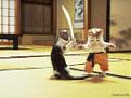 Click image for larger version

Name:	2 cats martial arts.jpg
Views:	79
Size:	4.3 KB
ID:	8947594