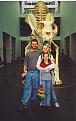 Click image for larger version

Name:	giant cat1.jpg
Views:	504
Size:	464.4 KB
ID:	8948079
