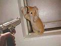 Click image for larger version

Name:	clenupvoloteers.jpg
Views:	96
Size:	6.6 KB
ID:	8948191