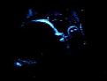 Click image for larger version

Name:	amelia ultrasound.jpg
Views:	161
Size:	2.9 KB
ID:	8948513
