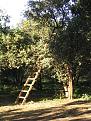 Click image for larger version

Name:	ladder.jpg
Views:	329
Size:	150.2 KB
ID:	8948537