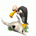 Click image for larger version

Name:	vulture_snacking_md_wht.gif
Views:	95
Size:	18.1 KB
ID:	8953096