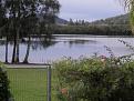 Click image for larger version

Name:	backyard .jpg
Views:	289
Size:	25.2 KB
ID:	8953939