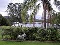 Click image for larger version

Name:	backyard 2.jpg
Views:	324
Size:	34.4 KB
ID:	8953940