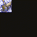 Click image for larger version

Name:	avatar1.gif
Views:	171
Size:	23.0 KB
ID:	8953981