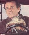 Click image for larger version

Name:	groundhog2.jpg
Views:	195
Size:	33.8 KB
ID:	8954482