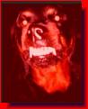 Click image for larger version

Name:	bad dog satan red.jpg
Views:	126
Size:	10.5 KB
ID:	8955309