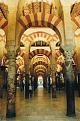Click image for larger version

Name:	cordoba2.jpg
Views:	116
Size:	78.3 KB
ID:	8956118