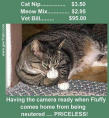 Click image for larger version

Name:	neutered cat.jpg
Views:	356
Size:	4.4 KB
ID:	8957145