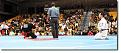 Click image for larger version

Name:	martial arts judge.jpg
Views:	363
Size:	86.0 KB
ID:	8957206