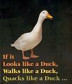 Click image for larger version

Name:	duck01.jpg
Views:	351
Size:	32.2 KB
ID:	8957208