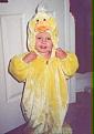Click image for larger version

Name:	duckc.jpg
Views:	391
Size:	5.8 KB
ID:	8957211