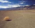 Click image for larger version

Name:	death_valley-lone_sagebrus.jpg
Views:	105
Size:	258.7 KB
ID:	8958680