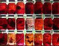 Click image for larger version

Name:	jars.jpg
Views:	150
Size:	28.5 KB
ID:	8959018