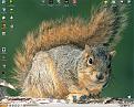Click image for larger version

Name:	mydesktop.jpg
Views:	135
Size:	145.5 KB
ID:	8959324