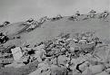 Click image for larger version

Name:	iwo jima 9th rgt 2.jpg
Views:	127
Size:	65.5 KB
ID:	8960069