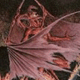 Click image for larger version

Name:	demon.gif
Views:	132
Size:	7.6 KB
ID:	8960184