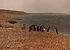 Click image for larger version

Name:	caleta.jpg
Views:	275
Size:	46.2 KB
ID:	8960240