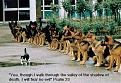 Click image for larger version

Name:	self_confidence.jpg
Views:	173
Size:	57.2 KB
ID:	8960302