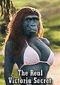 Click image for larger version

Name:	monkeywoman.jpg
Views:	99
Size:	14.6 KB
ID:	8960791