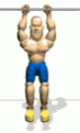 Click image for larger version

Name:	bodybuilder_pullups_md_wht.gif
Views:	152
Size:	11.6 KB
ID:	8961981