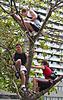 Click image for larger version

Name:	tree-2.jpg
Views:	136
Size:	79.6 KB
ID:	8962061