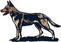 Click image for larger version

Name:	german shepherd.jpg
Views:	121
Size:	4.3 KB
ID:	8962908