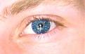 Click image for larger version

Name:	eye.jpg
Views:	311
Size:	4.5 KB
ID:	8963223