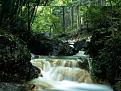 Click image for larger version

Name:	river%20&amp;amp;%20forest.jpg
Views:	112
Size:	109.8 KB
ID:	8963641