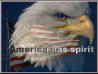 Click image for larger version

Name:	eagle01.jpg
Views:	163
Size:	2.8 KB
ID:	8963745