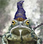 Click image for larger version

Name:	toadstool.jpg
Views:	190
Size:	3.8 KB
ID:	8963938