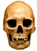 Click image for larger version

Name:	mexican skull.gif
Views:	88
Size:	13.9 KB
ID:	8964104