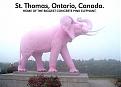 Click image for larger version

Name:	concreteelephant.jpg
Views:	156
Size:	32.1 KB
ID:	8964105