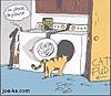 Click image for larger version

Name:	catfood.jpg
Views:	173
Size:	17.2 KB
ID:	8965028