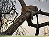 Click image for larger version

Name:	wallpaper.jpg
Views:	197
Size:	82.0 KB
ID:	8965679