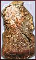 Click image for larger version

Name:	lungs.jpg
Views:	115
Size:	50.7 KB
ID:	8966498