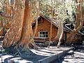 Click image for larger version

Name:	wood11.jpg
Views:	322
Size:	157.5 KB
ID:	8967647