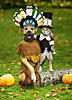 Click image for larger version

Name:	thanksgiving-friends.jpg
Views:	157
Size:	70.5 KB
ID:	8967728