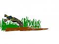 Click image for larger version

Name:	jumpinfrog.jpg
Views:	214
Size:	39.2 KB
ID:	8968387