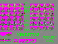 Click image for larger version

Name:	cities.gif
Views:	273
Size:	57.5 KB
ID:	8968538