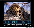 Click image for larger version

Name:	indifference.jpg
Views:	235
Size:	53.2 KB
ID:	8973719