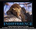 Click image for larger version

Name:	indifference.jpg
Views:	213
Size:	53.2 KB
ID:	8973719